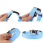 LED Adjustable Dog Collar in blue, featuring high visibility, waterproof design, and three light modes.