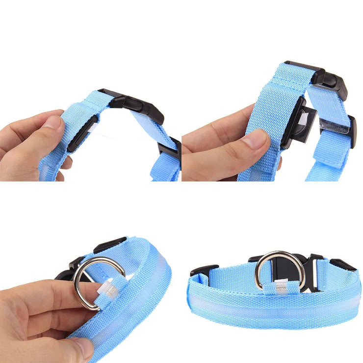 LED Adjustable Dog Collar in blue, featuring high visibility, waterproof design, and three light modes.