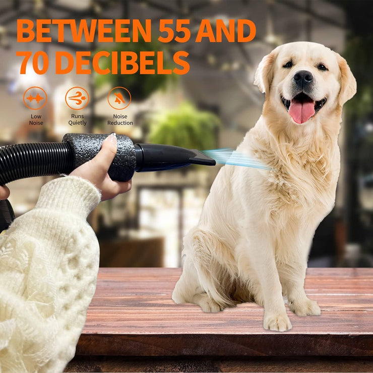 Professional-grade pet grooming blow dryer in use on a happy dog, showcasing adjustable speed and quiet operation.