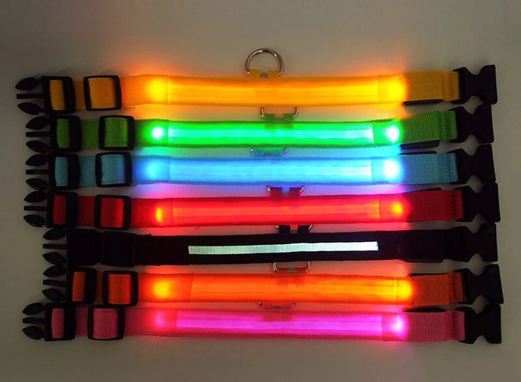 LED adjustable dog collar with multiple colors glowing for pet safety.