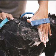 dog toothbrush