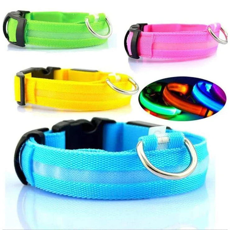 LED Adjustable Dog Collar in various colors with glowing and safety features.