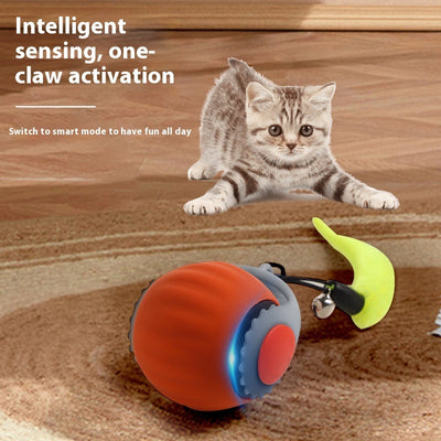 Funny cat playing with orange and blue automatic rolling ball toy on carpet.