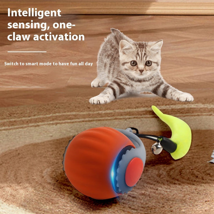 Funny cat playing with orange and blue automatic rolling ball toy on carpet.