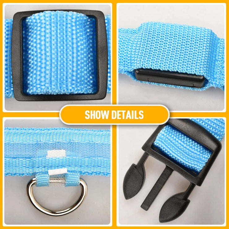 Blue LED adjustable dog collar with buckle and D-ring for pet safety.