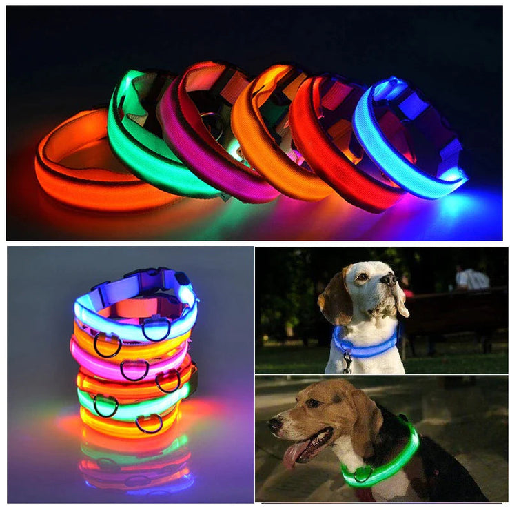 LED adjustable dog collars in various colors glowing in the dark for pet safety.