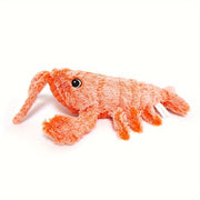 cat toys