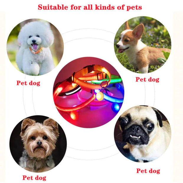 LED Adjustable Dog Collar Blinking Flashing Light up Glow Pets Safety Waterproof-The Joop Basket