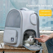 Expandable pet carrier backpack in light gray with a cat inside, featuring zip closure and mesh panels, ideal for outings.