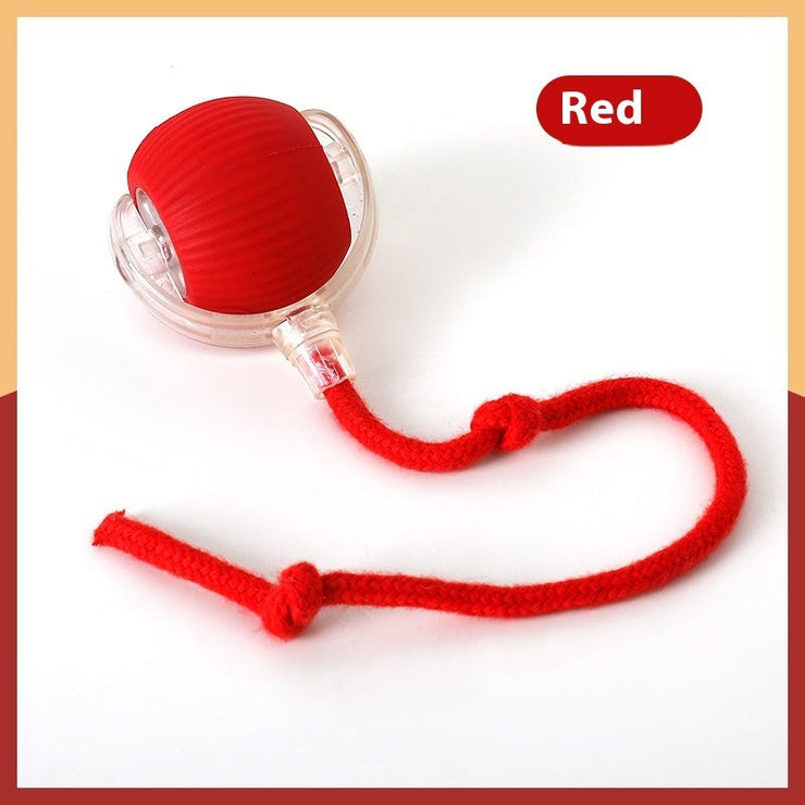 Red interactive cat toy ball with rope attachment.