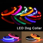 LED Adjustable Dog Collar with Blinking and Flashing Lights in Various Colors for Pet Safety