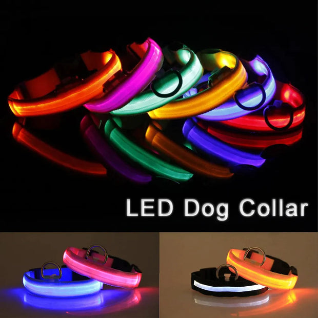LED Adjustable Dog Collar Blinking Flashing Light up Glow Pets Safety Waterproof-The Joop Basket