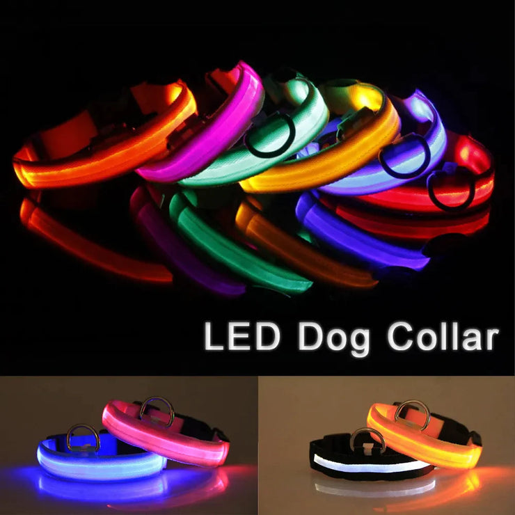 LED Adjustable Dog Collar with Blinking and Flashing Lights in Various Colors for Pet Safety