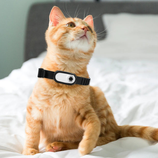 Camera Collar for Cats & Dogs-The Joop Basket