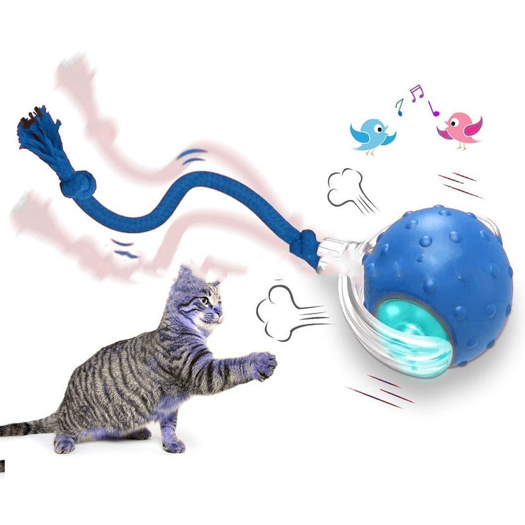 Interactive cat toy ball with rope and motion features, ideal for high-energy play and engagement.