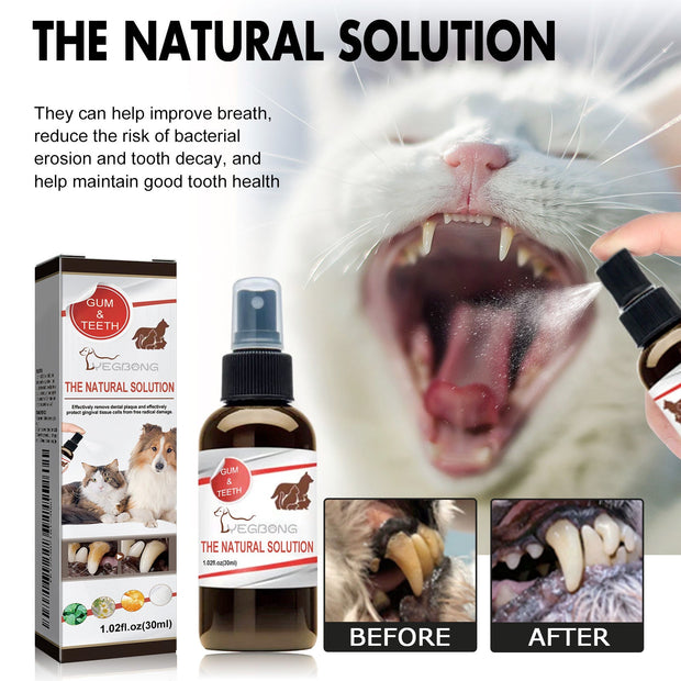 Chamomile-The Joop Basket