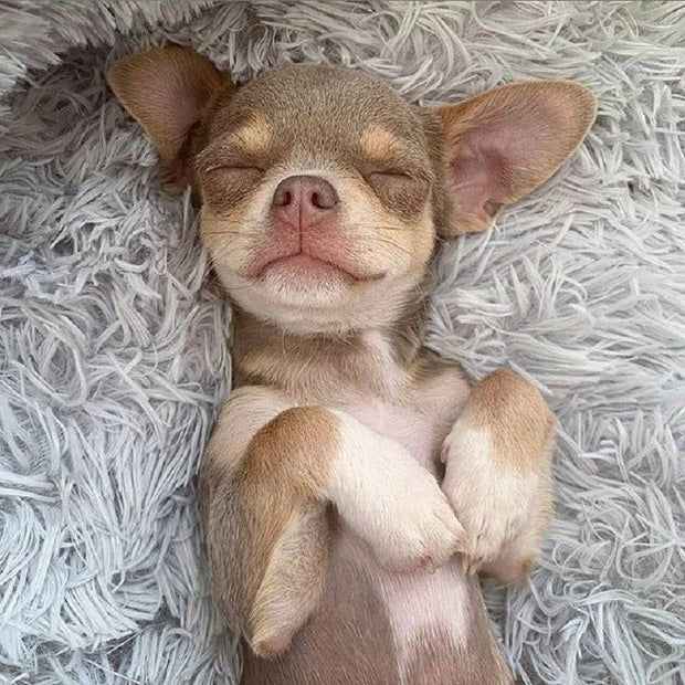 Make nap time better-The Joop Basket