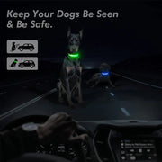 LED adjustable dog collar glowing in dark for pet safety.