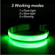 LED adjustable dog collar with glowing, flashing light in green; safety and visibility for pets with three light modes.