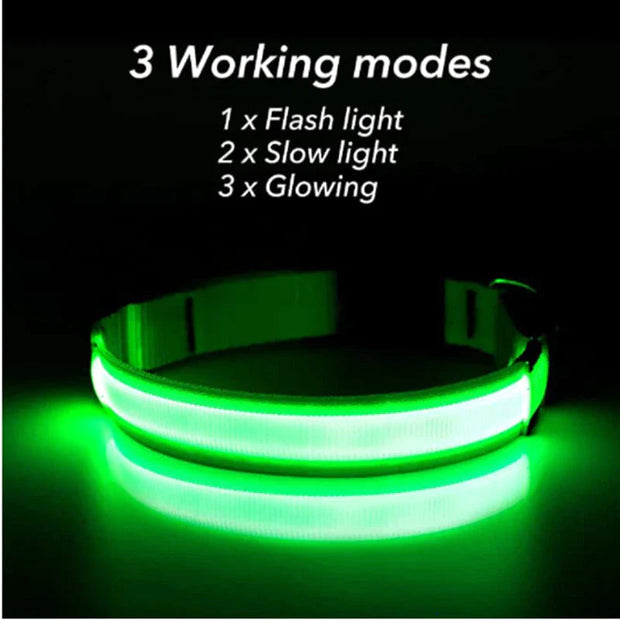 LED Adjustable Dog Collar Blinking Flashing Light up Glow Pets Safety Waterproof-The Joop Basket