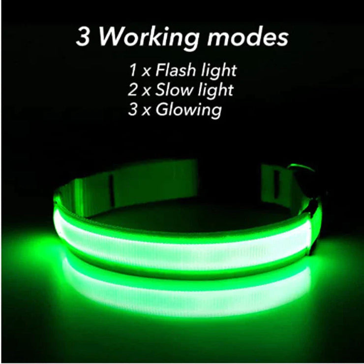 LED adjustable dog collar with glowing, flashing light in green; safety and visibility for pets with three light modes.