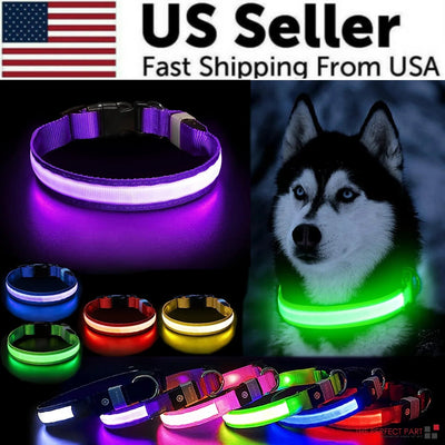 LED adjustable dog collar glowing in different colors for pet safety.