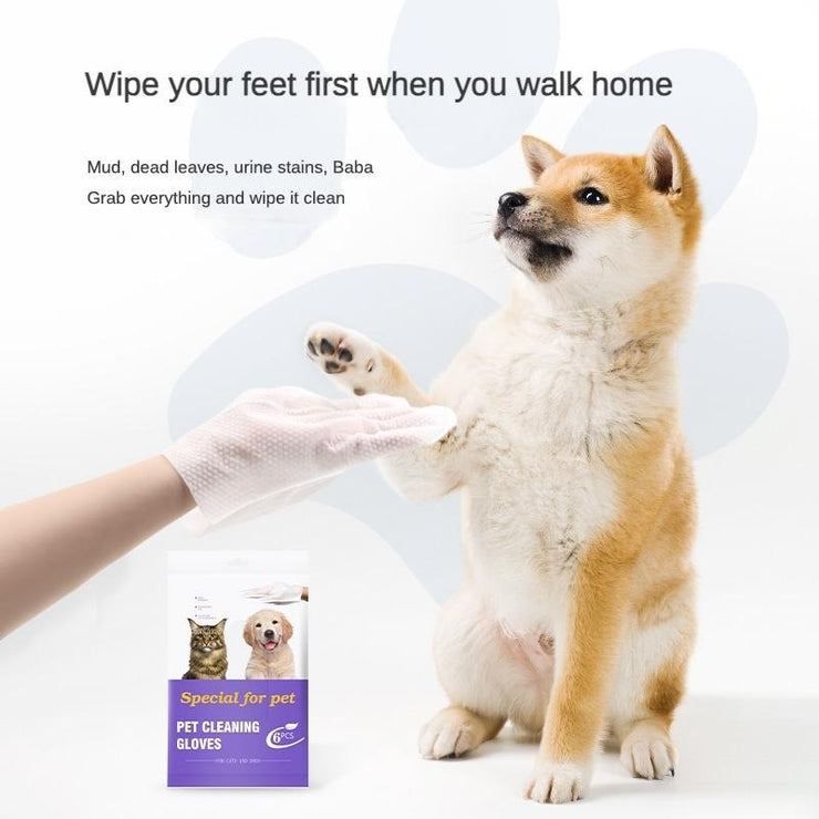 Pet cleaning deodorizing wipes for dogs and cats; shown with a dog, glove, and product packaging.