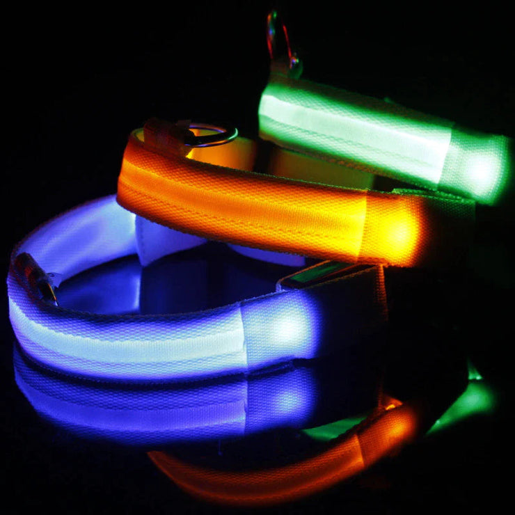 LED adjustable dog collar with blinking, flashing lights in multiple colors for pet safety.