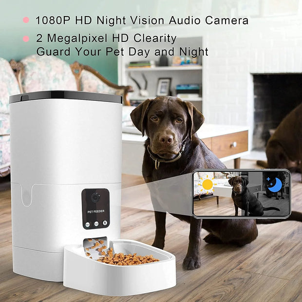 "Smart 6L Automatic Pet Feeder with 1080P Camera & App Control - Perfect for Cats & Dogs, Voice Recorder, Timed Feeding & Dual Power Supply!"
