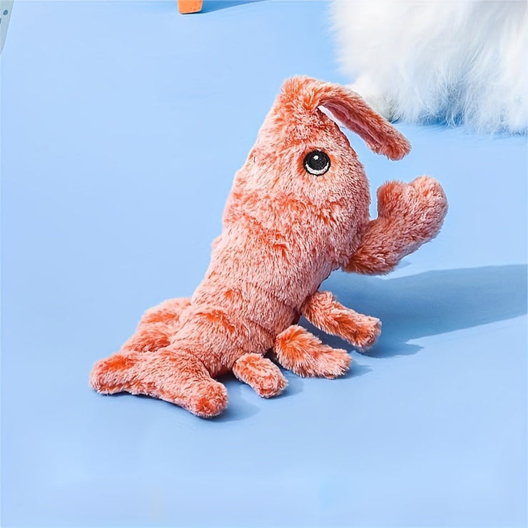 cat toys