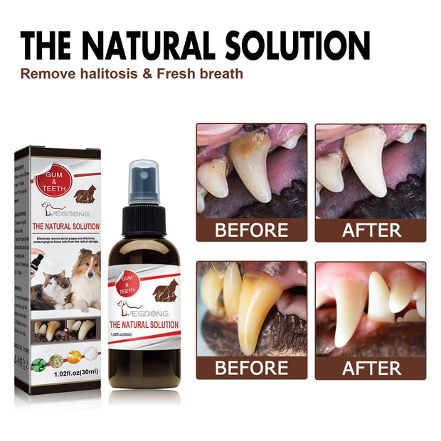 Chamomile-The Joop Basket