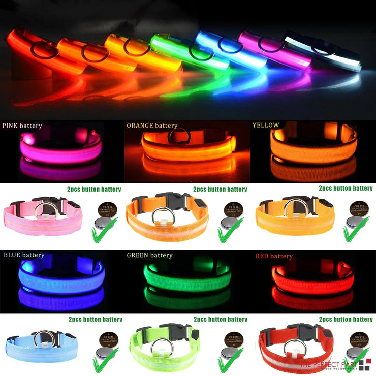 LED Adjustable Dog Collar with Blinking Light in Multiple Colors for Pet Safety