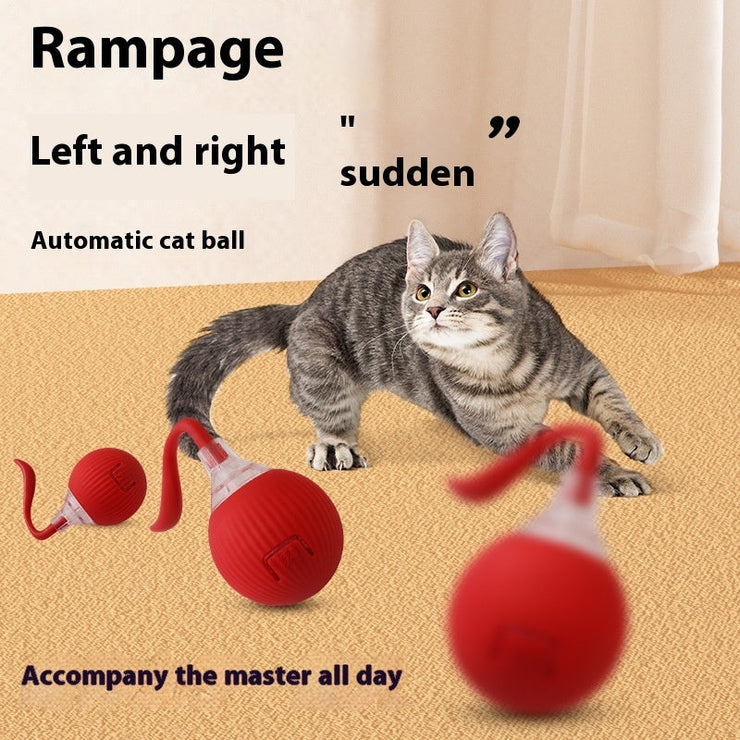 Interactive cat toy ball with automatic motion, keeps cats entertained; red ball with tail and playful text.