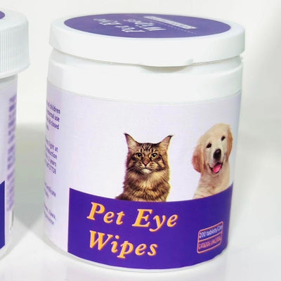 dog dental health