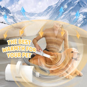 Pet hair dryer providing warmth to a dog with adjustable settings, indoor use.