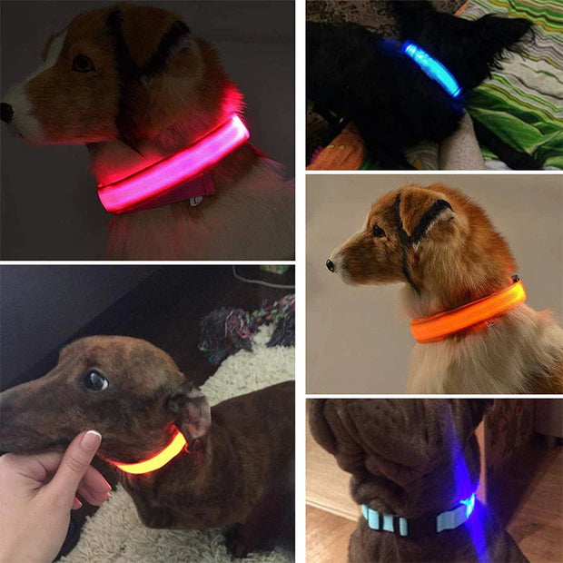 LED Adjustable Dog Collar Blinking Flashing Light up Glow Pets Safety Waterproof-The Joop Basket