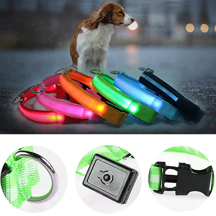 LED Adjustable Dog Collar with Blinking Flashing Light in Various Colors for Pet Safety