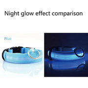 Blue LED adjustable dog collar showcasing night glow effect, perfect for pet safety and visibility.