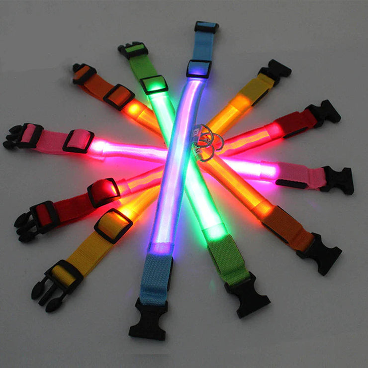 LED Adjustable Dog Collar in various colors, flashing light, glow, waterproof, pet safety.