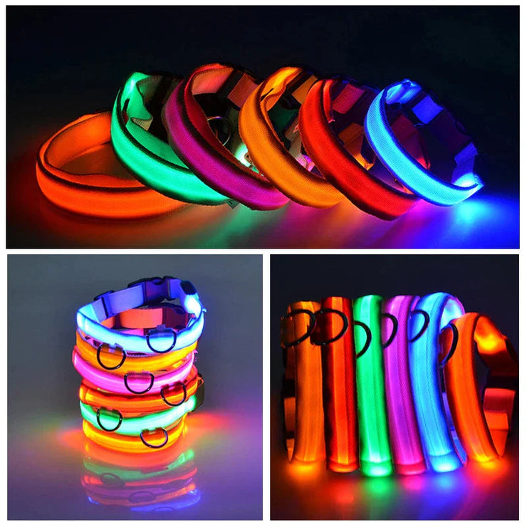 LED Adjustable Dog Collar with Blinking Flashing Lights in Various Colors, Waterproof for Pet Safety.