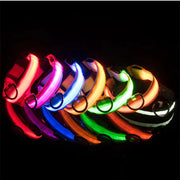 LED adjustable dog collars in various bright colors showcasing glowing light for pet safety.