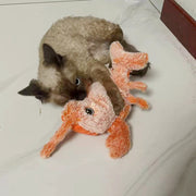 cat toys