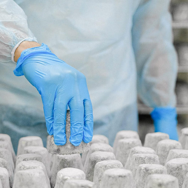 Vinyl Synthetic Exam Gloves, 4 Mil, Latex-Free Disposable Gloves for Medical, Culinary, Cleaning, and Food Preparation Use-The Joop Basket