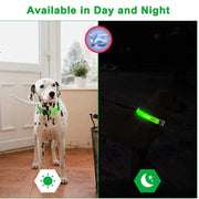LED adjustable dog collar glowing day and night for pet safety.