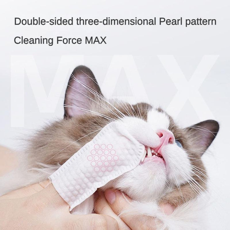 dog dental health