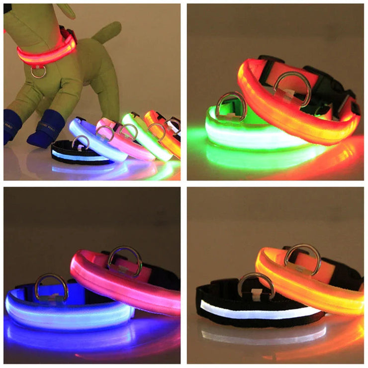 LED adjustable dog collar on mannequin displaying multiple glowing colors in dark settings.