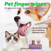 dog dental health
