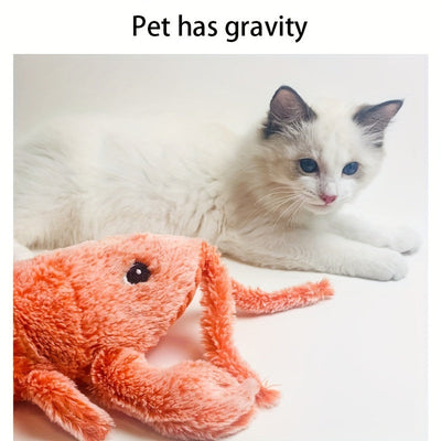 cat toys