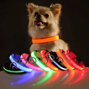 LED adjustable dog collar with glowing light in various colors, displayed on a dog, showcasing safety features and waterproof design.