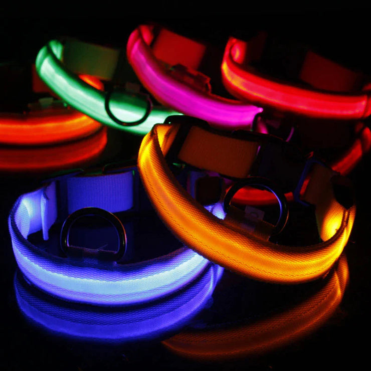 LED adjustable dog collar with multiple glowing colors, ensuring pet safety and visibility at night.